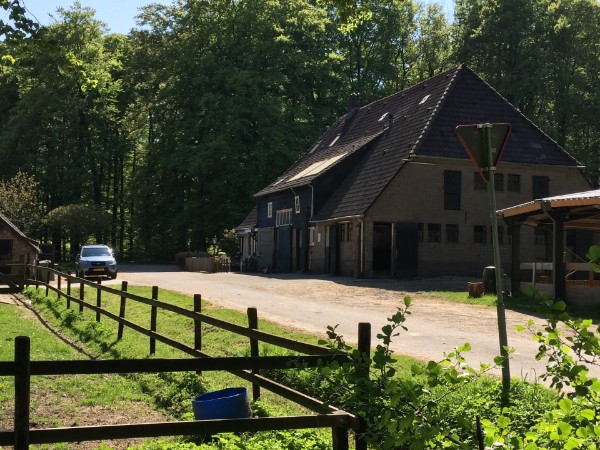 De oprit aan de bosrand
